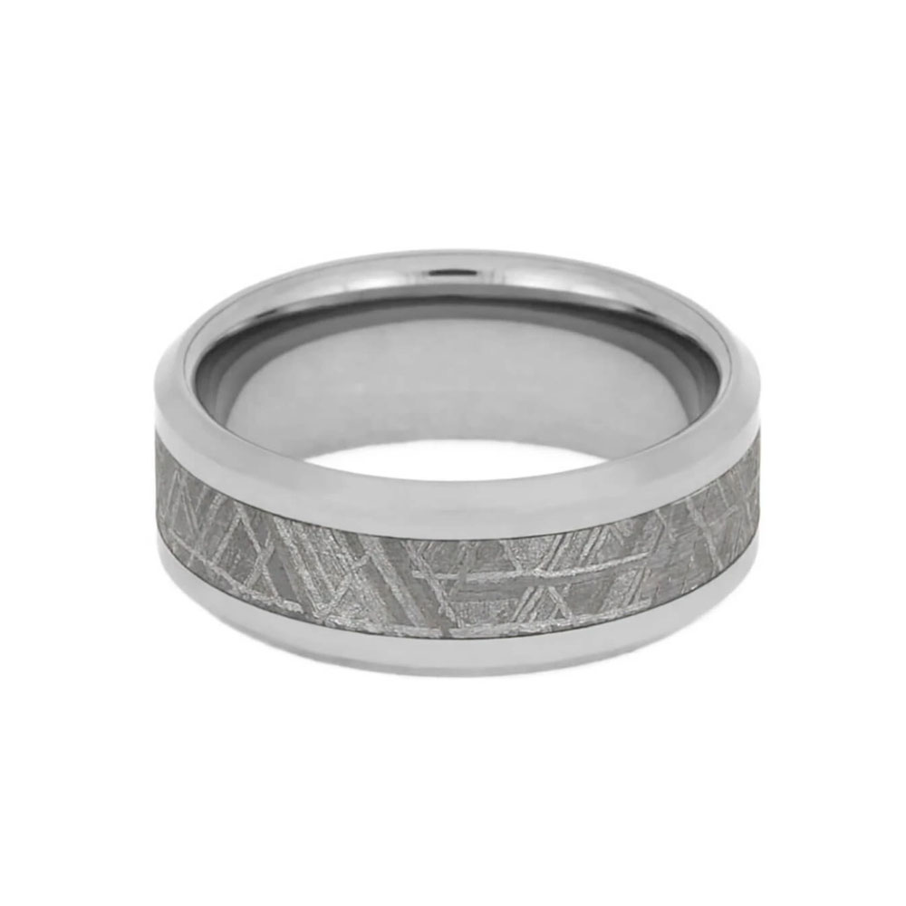 Gibeon Meteorite Ring in Titanium 1159